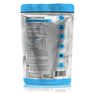 Beef Broth Electrolytes for Dogs